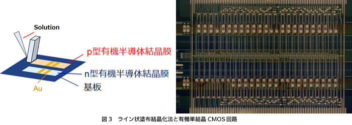 図3　ライン状塗布結晶化法と有機単結晶CMOS回路