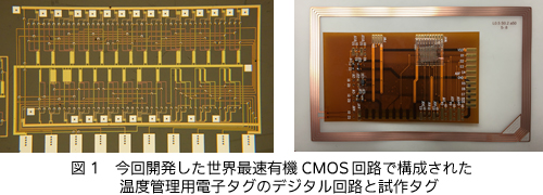 図1　今回開発した世界最速有機CMOS回路で構成された温度管理用電子タグのデジタル回路と試作タグ